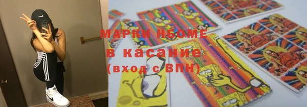 хмурый Аркадак