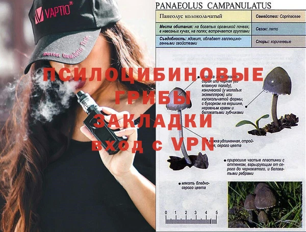 таблы Алексеевка
