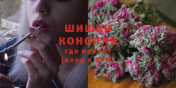 прущие грибы Алексин