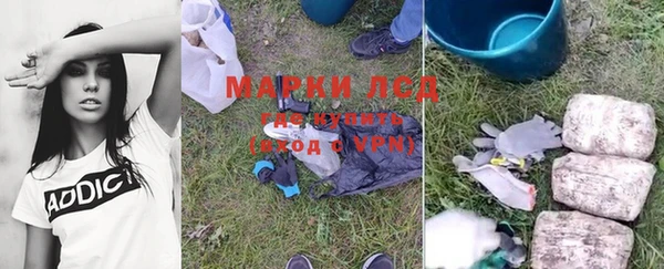 прущие грибы Алексин