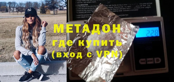хмурый Аркадак