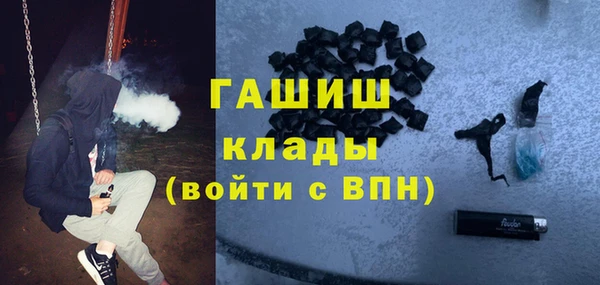 хмурый Аркадак